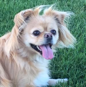 Meet your Posher, Donna